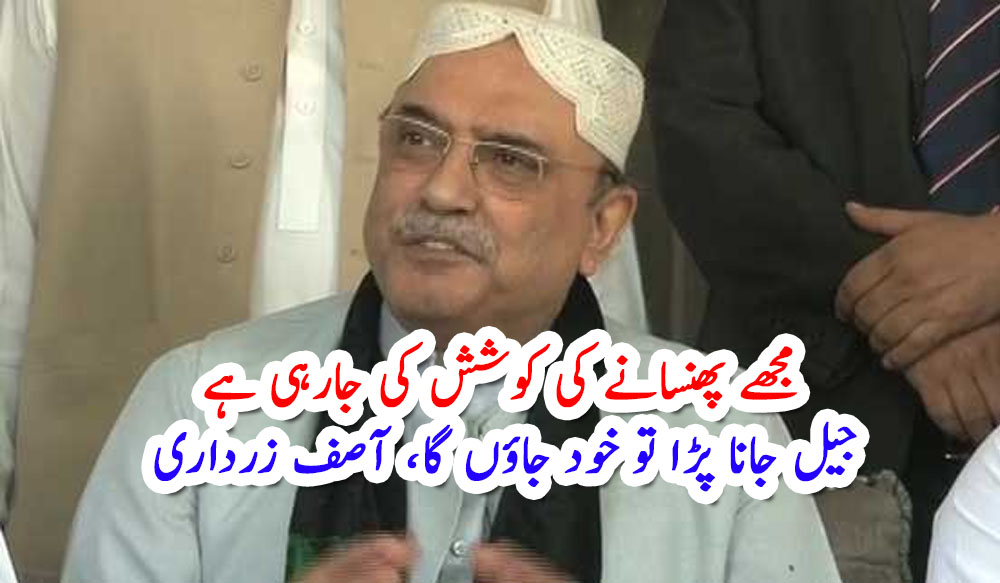 مجھے پھنسانے کی کوشش کی جارہی ہے، جیل جانا پڑا تو خود جاؤں گا، آصف زرداری