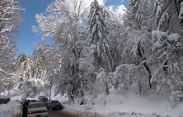 شدید برفباری سے متاثرہ مری کی تمام اہم شاہراہوں کو ٹریفک کیلئے کلیئر کر دیا: پنجاب پولیس