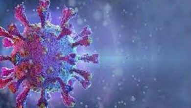 کورونا وائرس، دو دن میں دنیا بھر میں کیسز کی تعداد 60لاکھ سے زائد ہو گئی