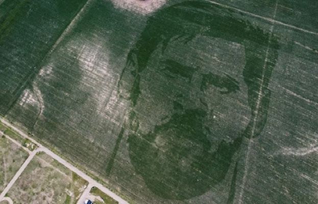 کسان نے مکئی کی فصل سے میسی کی تصویر بنا دی