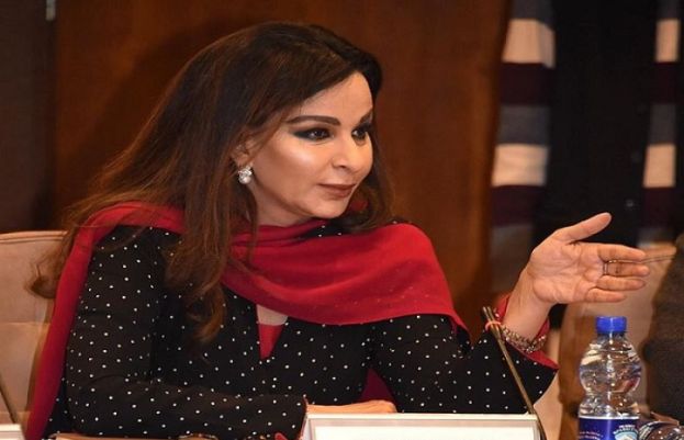 جیل بھرو تحریک ’ضمانت دو تحریک‘ میں تبدیل ہوچکی ہے: شیری رحمان