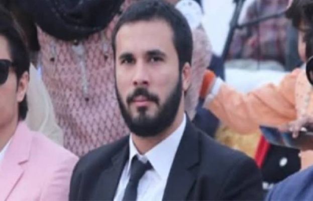 پی ٹی آئی رہنما حسان نیازی کی ضمانت منظور