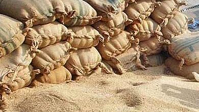 وفاقی حکومت کا گلگت بلتستان سے سبسڈی والی گندم کی قیمت بڑھانے کا مطالبہ