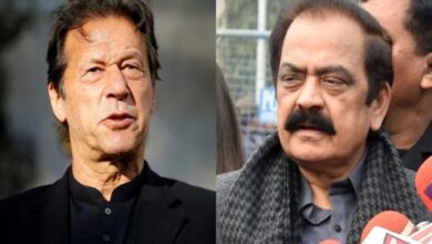 رانا ثنا اللہ نے عمران خان سے متعلق بیان کی وضاحت کردی