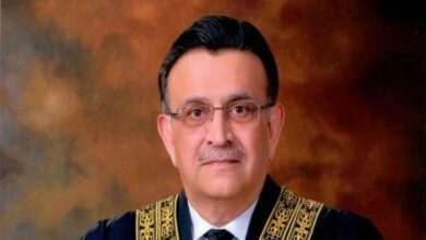 قانون کی حکمرانی کے بغیر جمہوریت نہیں چل سکتی: چیف جسٹس