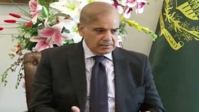پنجاب کے 10 کروڑ لوگ فری آٹا اسکیم سے مستفید ہو رہے ہیں: وزیر اعظم