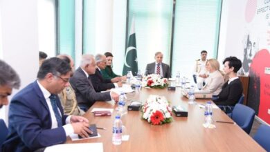 وزیرِاعظم شہباز شریف کے دورہ ترکیہ میں لیماک ہولڈنگ بورڈ کی سربراہ سے ملاقات