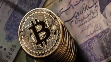حکومت کا ڈیجیٹل کرنسی متعارف کرانے کا فیصلہ