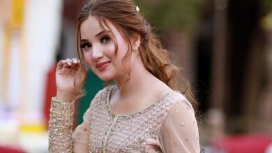 ٹک ٹاکر ربیکا خان سوشل میڈیا پر تنقید کی زد میں کیوں ہے؟