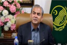 شر پسند عناصر کیساتھ آہنی ہاتھوں سے نمٹا جائے گا: محسن نقوی