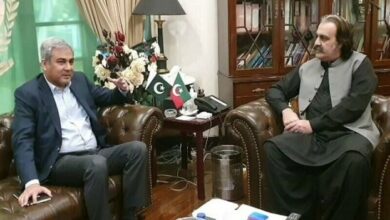 وزیراعلیٰ خیبر پختونخوا سے وزیر داخلہ محسن نقوی کی ملاقات، امن و امان کی صورتحال پر گفتگو