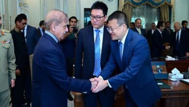 حکومت پاکستان چینی سرمایہ کاروں کو تمام تر سہولیات فراہم کرے گی: وزیراعظم