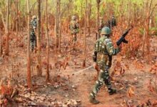 بھارت: سیکیورٹی فورسز کے ساتھ جھڑپ میں 29 ماؤ نواز باغی ہلاک