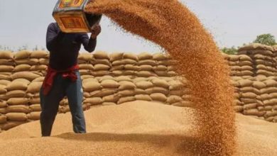 رواں سال کے آخر میں گندم کے بڑے بحران کا خطرہ