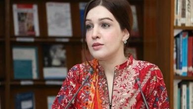پہلگام واقعے کی آڑ میں کشمیریوں کو نشانہ بنایا جا رہا ہے، مشعال ملک