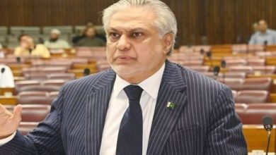 ساڑھے 4 بجے سے پاکستان اور بھارت نے جنگ بندی پر اتفاق کیا: اسحاق ڈار