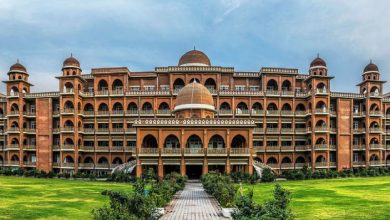 جامعہ پشاور میں اساتذہ سے متعلق اہم انکشاف
