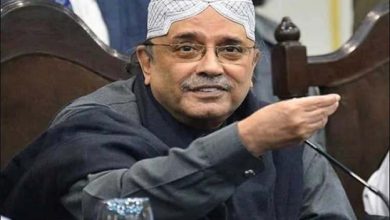 صدر مملکت آصف زرداری لاہور پہنچ گئے