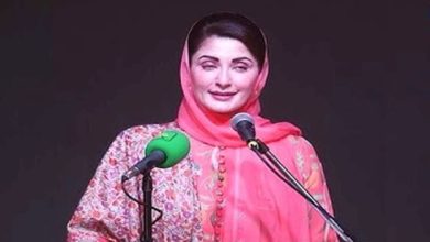 اسکینڈل فری ترقیاتی عمل حکومت پنجاب کی بڑی کامیابی ہے، مریم نواز