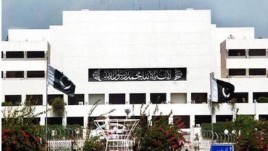 55 نرسنگ کالجز غیرمعیاری، قائمہ کمیٹی میں انکشاف