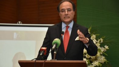 پنشن کا حجم ترقیاتی بجٹ سے بڑھ گیا، پینشن فنڈ پر ٹیکس لگانے کی تجویز ہے، وزیر خزانہ
