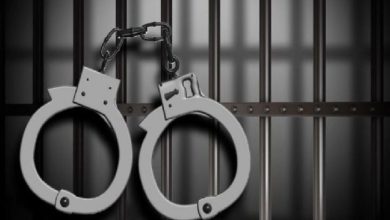 مظفر گڑھ میں چائلڈ پورنو گرافی کی ویڈیوز بنانے والا پور ا گینگ گرفتار