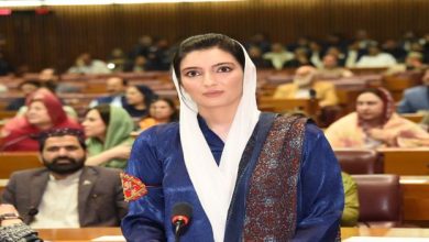 بلاول بھٹو نے مشکل وقت میں پاکستان کی مؤثر نمائندگی کی، آصفہ بھٹو