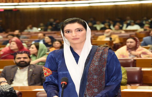 بلاول بھٹو نے مشکل وقت میں پاکستان کی مؤثر نمائندگی کی، آصفہ بھٹو