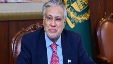اسحاق ڈار استنبول پہنچ گئے، او آئی سی وزرائے خارجہ اجلاس میں پاکستان کی نمائندگی کریں گے