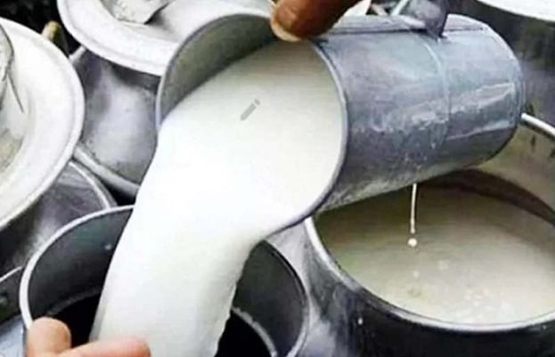 ڈیری فارمرز کی مصنوعات کوسیلز ٹیکس رجیم میں شامل کیا جائے، شاکرعمرگجر