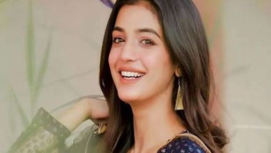 لائبہ خان کا شادی نا ہونے سے متعلق بڑا انکشاف