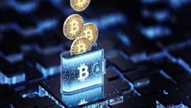 بٹ کوائن ایکسپرٹ مائیکل سیلر پاکستان کی ڈیجیٹل معیشت کے مشیر مقرر
