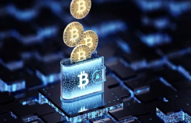 بٹ کوائن ایکسپرٹ مائیکل سیلر پاکستان کی ڈیجیٹل معیشت کے مشیر مقرر
