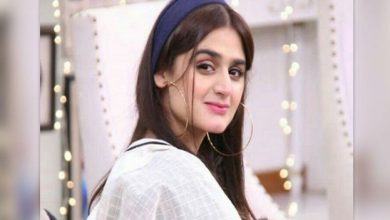 حرا مانی کی بولڈ ویڈیو وائرل، صارفین کی شدید تنقید