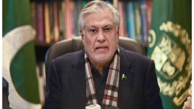 پاک چین ڈیجیٹل راہداری سے تعاون اور روزگار کے نئے مواقع پیدا ہوں گے: اسحاق ڈار