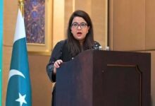 ملک میں بین الاقوامی انٹرنیٹ کنیکٹیویٹی بہتربنانے کے لیے نئی کیبل روٹس پر کام جاری ہے، شزہ فاطمہ
