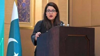 ملک میں بین الاقوامی انٹرنیٹ کنیکٹیویٹی بہتربنانے کے لیے نئی کیبل روٹس پر کام جاری ہے، شزہ فاطمہ