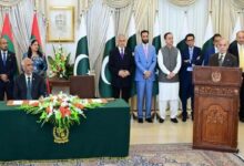 پانی ہماری ریڈلائن ہے، پاکستان کا پانی روکنے کی کوئی بھی کوشش جنگی اقدام تصور ہوگی: وزیراعظم کی مالدیپ کے صدر سے ملاقات کے بعد گفتگو