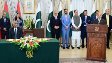 پانی ہماری ریڈلائن ہے، پاکستان کا پانی روکنے کی کوئی بھی کوشش جنگی اقدام تصور ہوگی: وزیراعظم کی مالدیپ کے صدر سے ملاقات کے بعد گفتگو