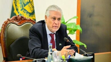 آر فور اور آر فور پلس اجلاس، نائب وزیراعظم اسحاق ڈار شرکت کے لیے استنبول پہنچ گئے