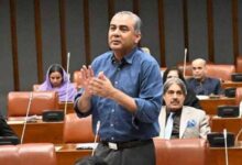 وزیراعلیٰ سہیل آفریدی نے کے پی آپریشنز پر ایک بار بھی فوج کے ساتھ کھڑا ہونا گوارا نہیں کیا، محسن نقوی