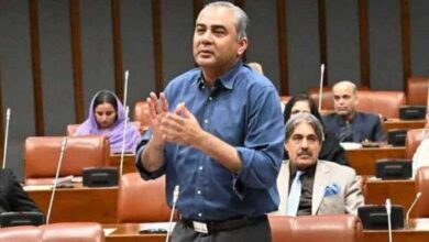وزیراعلیٰ سہیل آفریدی نے کے پی آپریشنز پر ایک بار بھی فوج کے ساتھ کھڑا ہونا گوارا نہیں کیا، محسن نقوی