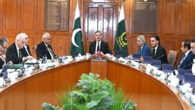 احسن بھون کی ڈگری کے اصلی ہونے سے متعلق جوڈیشل کمیشن کا اہم بیان