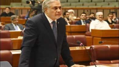 خیبرپختونخوا اسمبلی 6 مہینے بعد بحال ہوگی، اسحاق ڈار کا سینیٹ اجلاس میں اظہار خیال