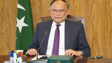 حکومت نے پٹرولیم لیوی کی شرح میں فوری کمی کے امکان کو مسترد کر دیا