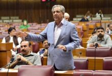 قومی اسمبلی کے بعد سینیٹ نے بھی صدر مملکت کے خیبر پختونخوا میں ایمرجنسی کے نفاذ کی توثیق کردی
