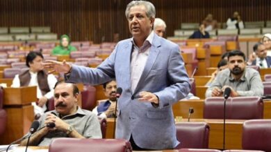 قومی اسمبلی کے بعد سینیٹ نے بھی صدر مملکت کے خیبر پختونخوا میں ایمرجنسی کے نفاذ کی توثیق کردی