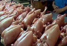 مرغی کے گوشت کی قیمتوں میں بڑا اضافہ