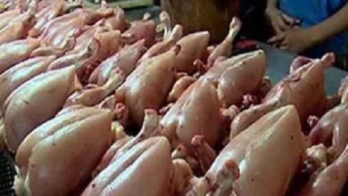 مرغی کے گوشت کی قیمتوں میں بڑا اضافہ