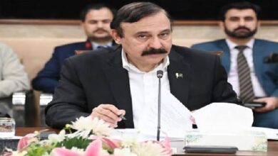 خیبر پختونخوا سے دہشتگردی کا مکمل خاتمہ اور دائمی امن کا قیام مقصد ہے، دہشتگردی سے متاثرہ 12 اضلاع کو دہشتگردوں سے کلیئر کیا جائے گا: وفاقی وزیر